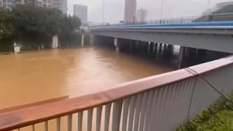 深圳暴雨丨龙岗河水位较昨晚有明显下降