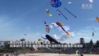 澳大利亚最大的风筝节在悉尼邦迪海滩举行