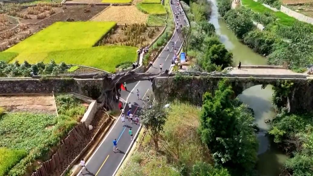 一路奔跑一路美景！这里的半程马拉松拥抱自然融入乡村