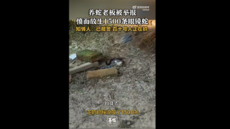 视频丨养蛇人被举报放生1500条眼镜蛇，知情人：村民警方正抓捕