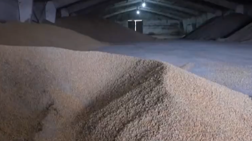 歐盟對進口烏克蘭農產品臨時限制措施將到期