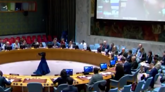 联合国安理会就乌克兰武器输送问题举行会议