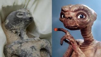 墨西哥公布疑似“外星生物”遗骸，网友：和ET太像了