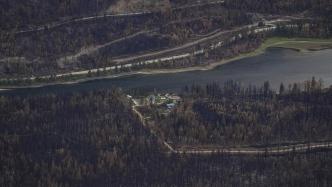气候监测机构：5月以来加拿大野火已释放4.1亿吨二氧化碳