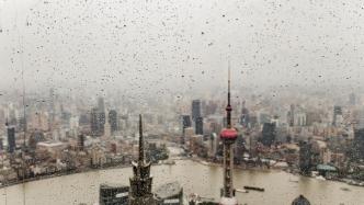 “暴雨蓝+大风蓝”预警发布，目前上海“两蓝一黄”预警高挂