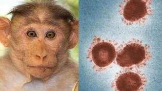 猴痘纳入乙类传染病管理