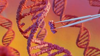 上海发布基因治疗领域重大政策利好，最高3000万元资金支持