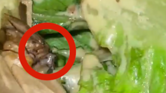网友疑似在星巴克沙拉中吃出活虫，回应：还在调查中