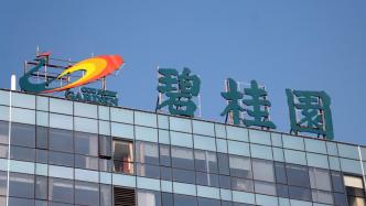 碧桂园改善“16腾越02”债展期方案：至少增加2亿元应收账款质押担保