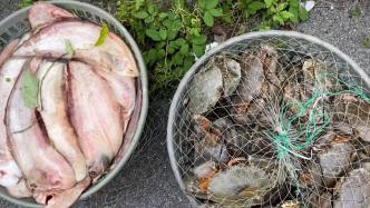 上海奉贤公安破获一起非法捕捞案件，查扣各类渔获230余斤