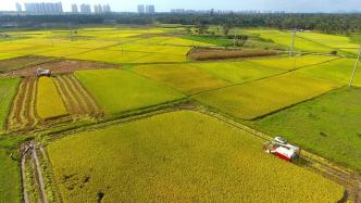 海南发布《海南省地方粮食储备管理办法》，今年12月起施行