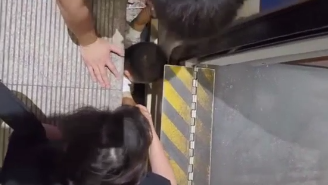 上海虹桥高铁站小孩掉进缝隙，热心阿姨冷静将其救出