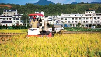 经济日报：严防压级压价，保护农民利益