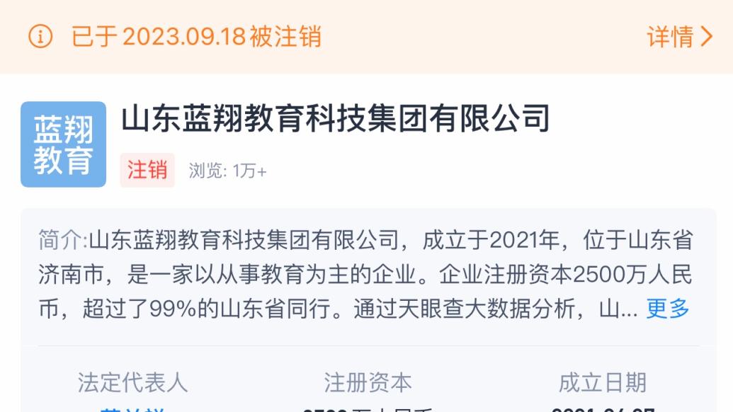 山东蓝翔教育科技集团注销