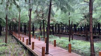步步皆景，上海正加快推進環城生態公園帶建設