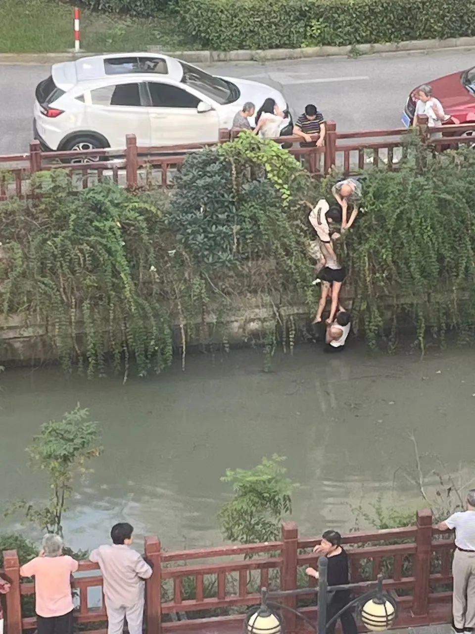 年近七旬的上海爷叔，勇救20多岁的跳河女子