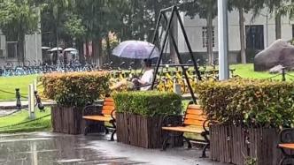 “快乐自在，何惧风雨”？同济一男生抱猫咪在雨中撑伞荡秋千