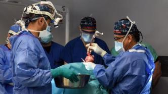 全球第2例猪-人心脏移植成功
