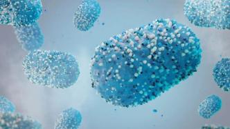 中国生物杨晓明团队：新型猴痘mRNA疫苗可提供强大免疫保护
