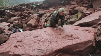 四川10岁男孩发现世界罕见恐龙脚印
