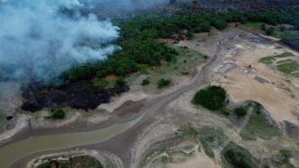 厄尔尼诺现象引起亚马孙地区严重干旱，巴西联邦政府紧急介入