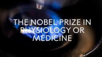 mRNA技术被看好？诺贝尔生理学或医学奖将在10月2日揭晓