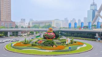 多图！1000万盆花卉装点申城，中秋国庆“双节”气氛拉满