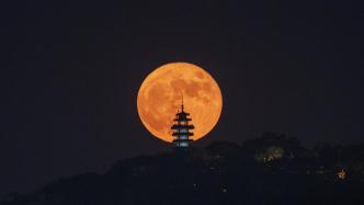 紫金山天文台：今年中秋月亮又大又圆，在哪儿都可以赏月