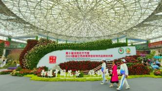 江苏沭阳打造“中国花谷”，花卉直播销售额占全国三分之一
