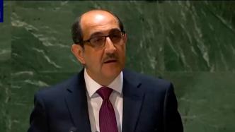 叙利亚常驻联合国代表：支持一个中国原则