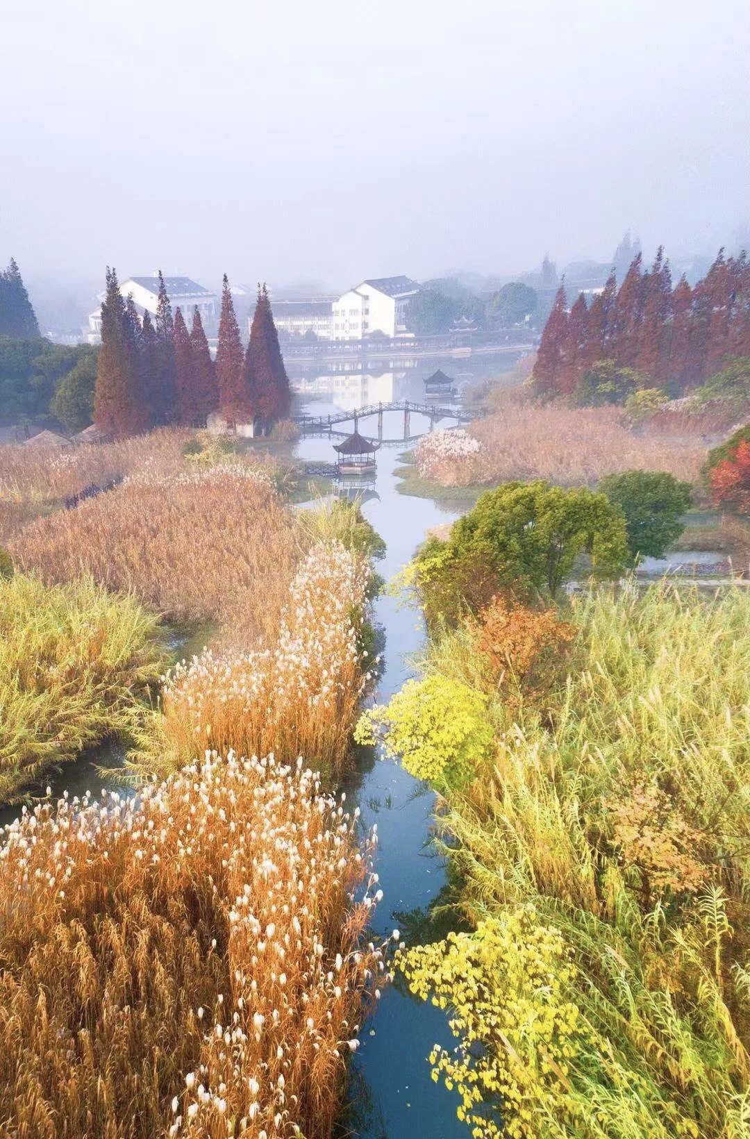 常宿常熟:沪宁沿江高铁开通,常熟成金秋短途游新热点