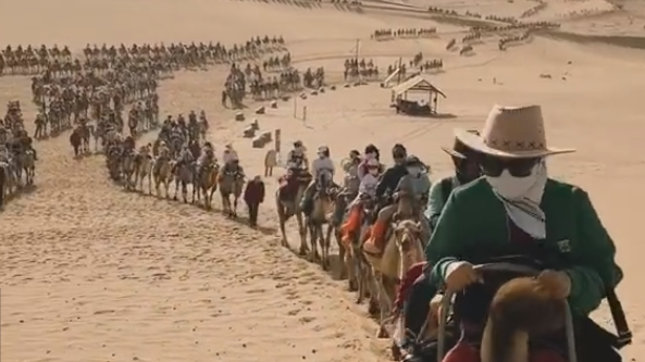 视频丨甘肃敦煌“骆驼大队”望不到边，网友：走出了丝绸之路既视感
