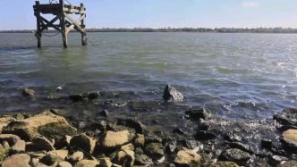海水倒灌密西西比河，美国多地供水受威胁