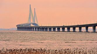 上海市区去崇明总堵车？人大代表呼吁减免长江隧桥收费，答复来了