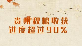 贵州秋粮收获进度超过90%