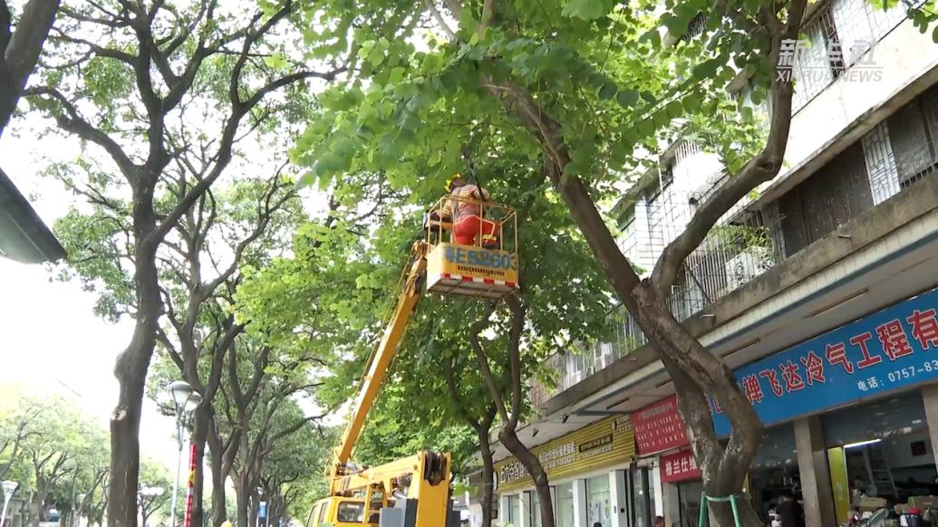 广东佛山：城管部门全力做好台风防御工作