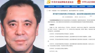原中国中化集团有限公司副总经理杜国盛被查：已退休6年