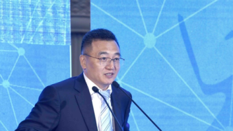 52岁杨玉成出任新华保险董事长，提出大力推进专业化市场化改革