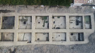 余姚一小学地下发现汉六朝聚落遗址：有橡子遗存，证实其为人类早期食物之一