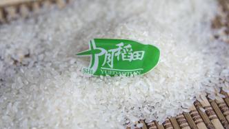 十月稻田上市首日涨超22%，市值201亿港元
