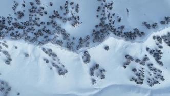 青海都蘭秋日雪景如水墨畫