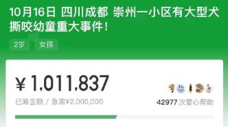 被恶犬咬伤女童已获捐超100万，代理律师：狗主人可能最高获刑7年