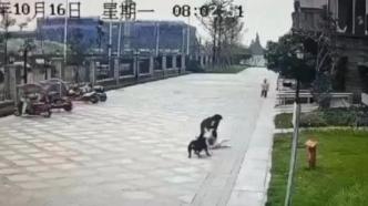遭恶犬撕咬女童仍昏迷，父母诉求是孩子先脱险，后续将起诉维权