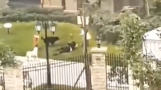 被狗咬伤女童家属发起200万元筹款，代理律师回应：每笔都会做好凭证