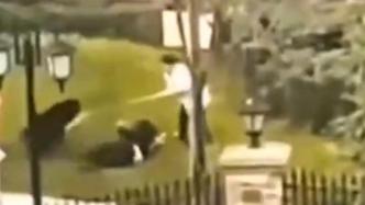 解读丨恶狗咬伤女童仍昏迷，治疗费是否该由物业垫付？