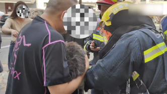消防员从火场中抱出被困猫咪，女主人激动落泪