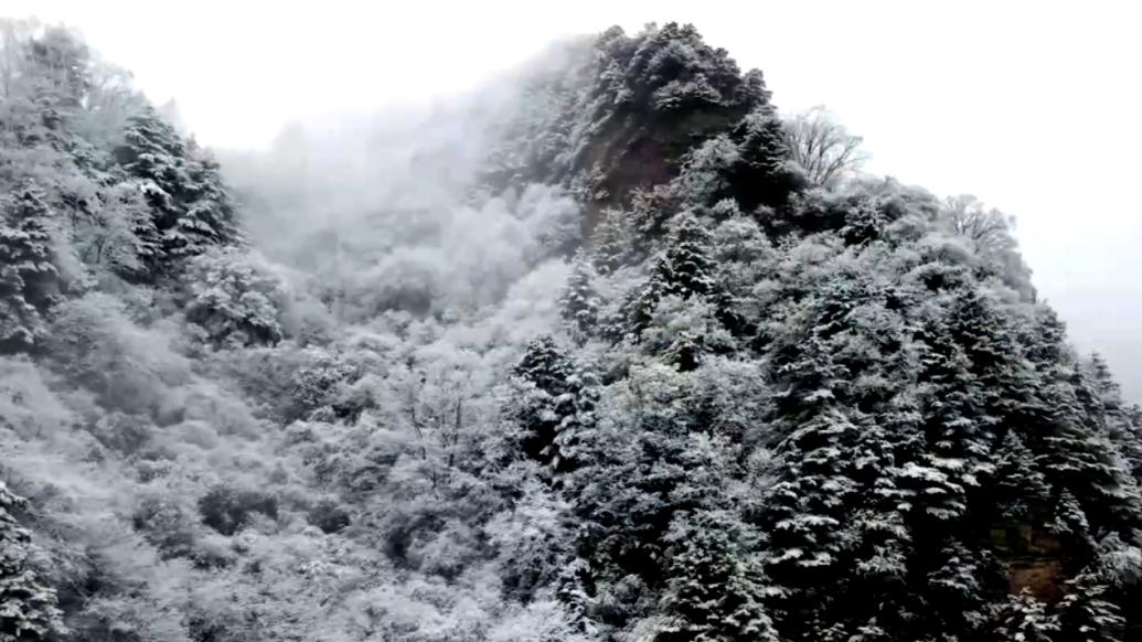 宁夏泾源：六盘山初雪景如画