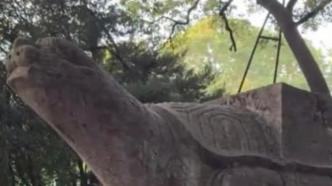 南京灵谷寺明代龟趺脖颈被人为点蜡熏黑