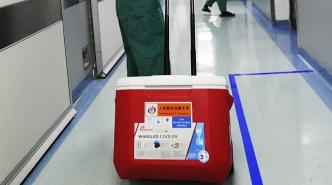 国常会审议通过《人体器官捐献和移植条例（修订草案）》