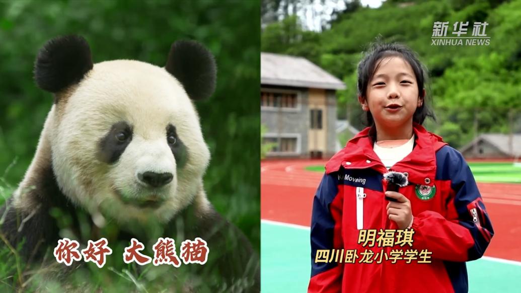你好！大熊猫国家公园